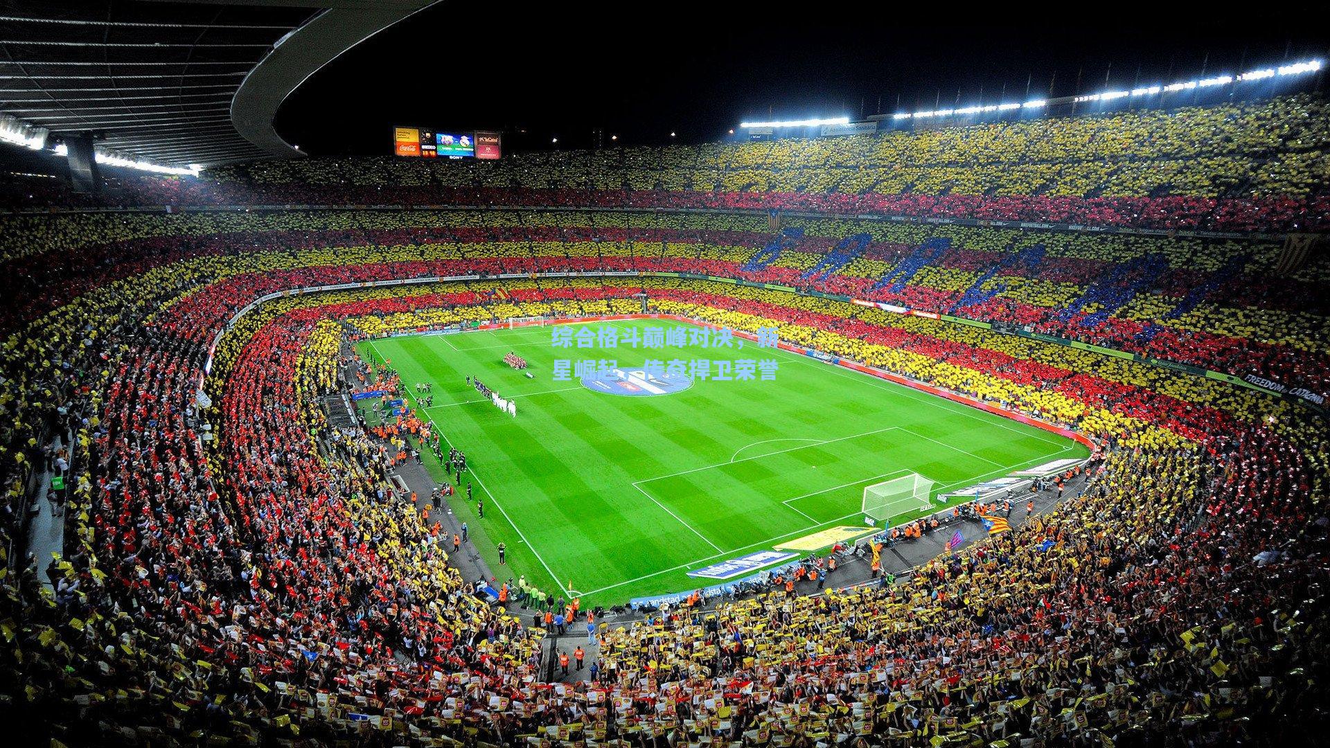 综合格斗巅峰对决，新星崛起，传奇捍卫荣誉