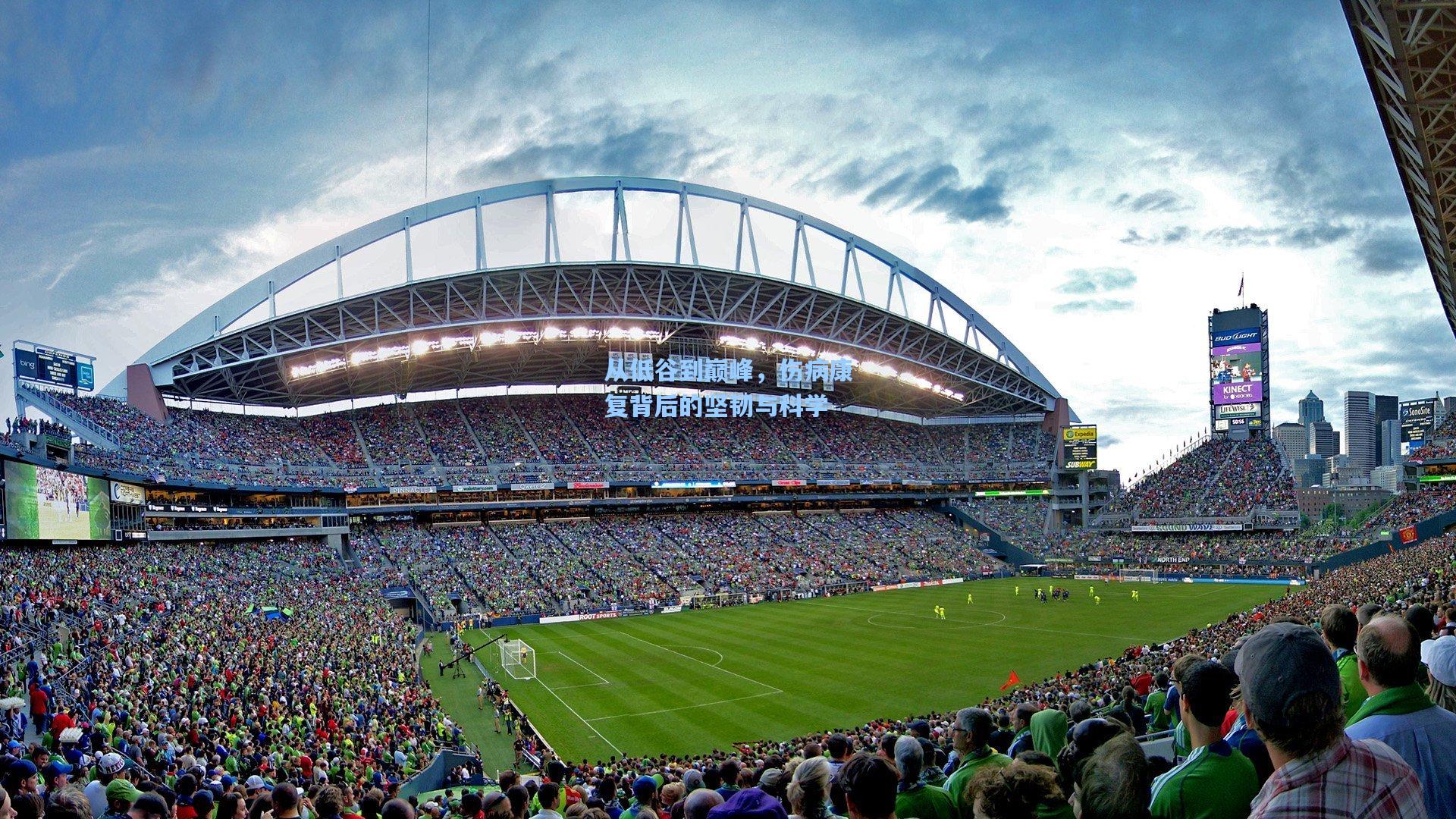 从低谷到巅峰，伤病康复背后的坚韧与科学