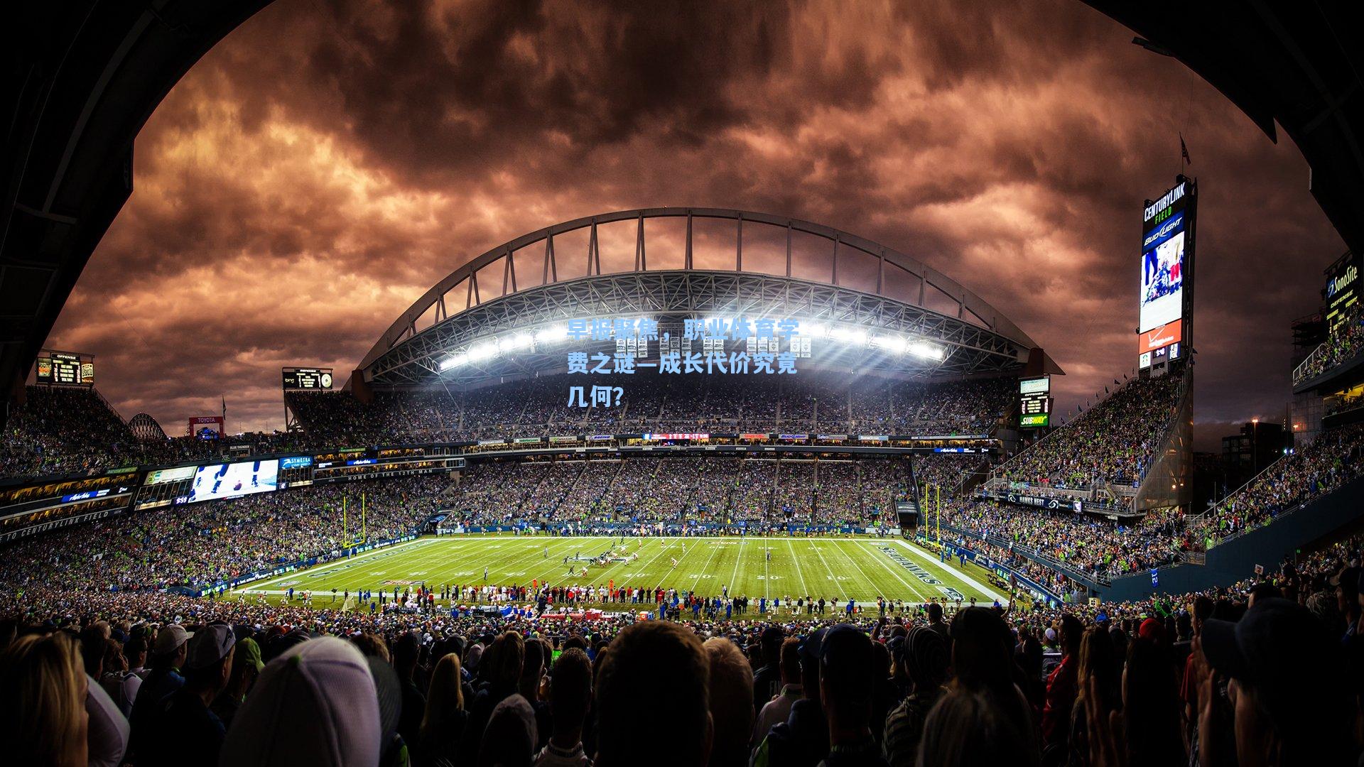 早报聚焦，职业体育学费之谜—成长代价究竟几何？